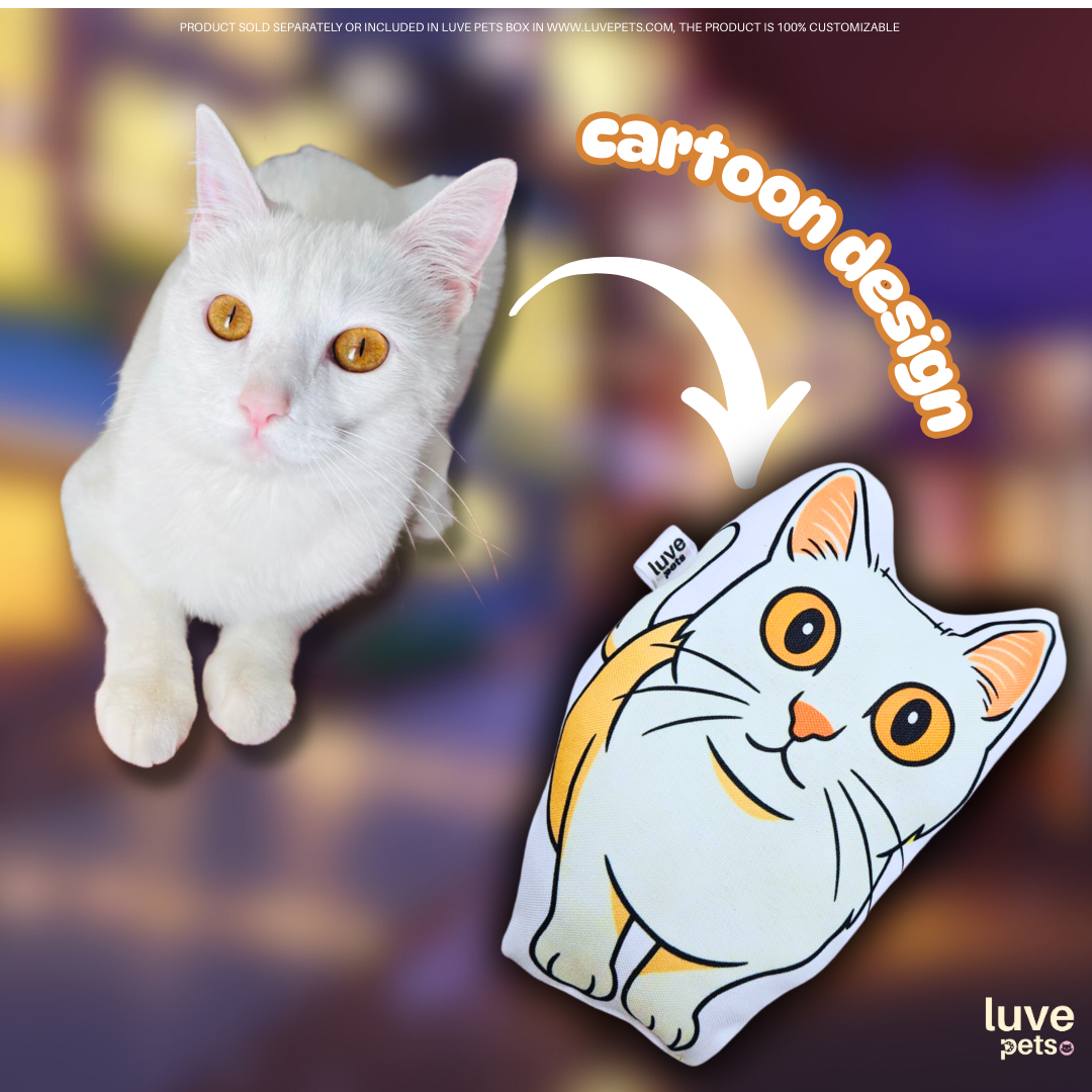 Meow Cartoon Pillow ๐