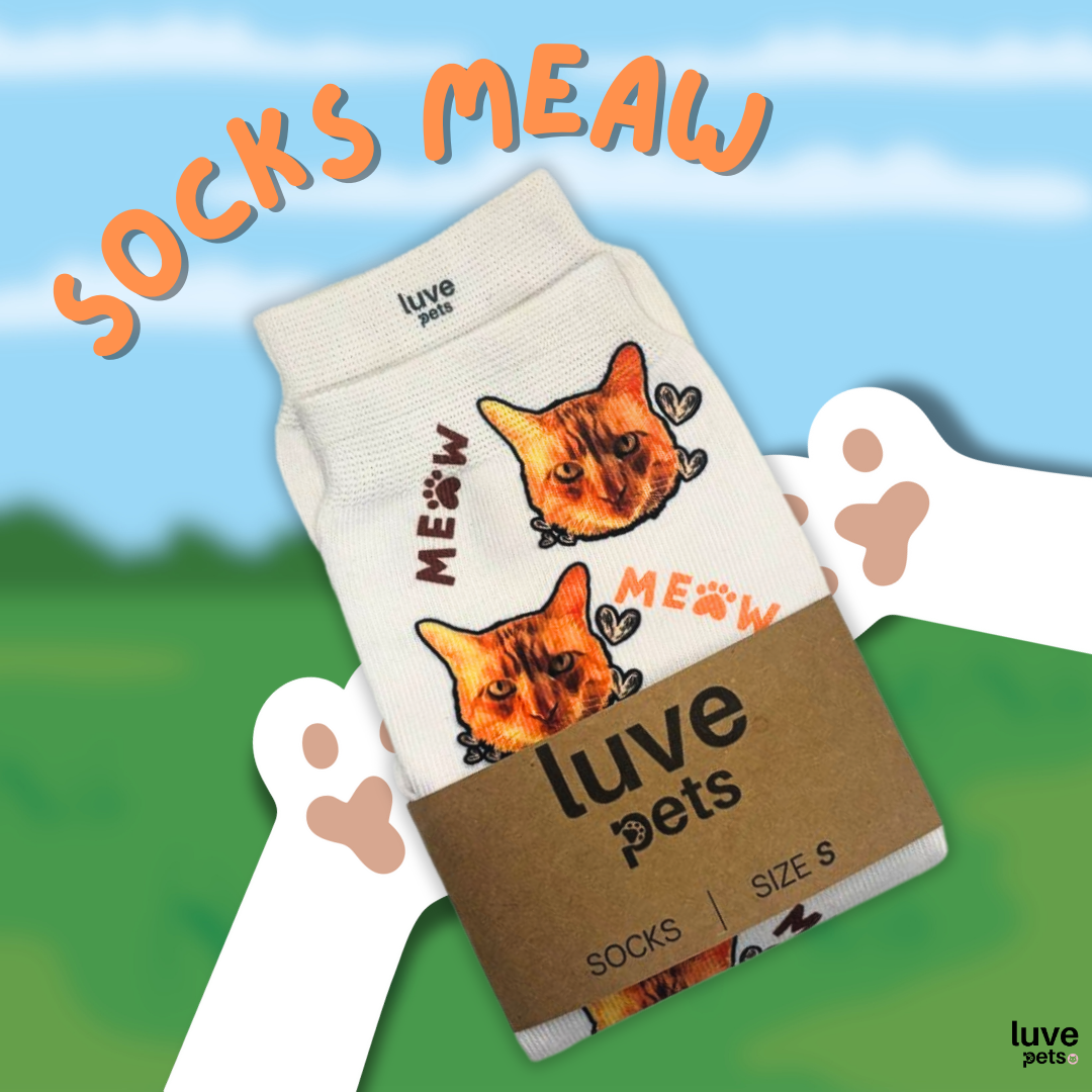 Socks Meow¡ 😺
