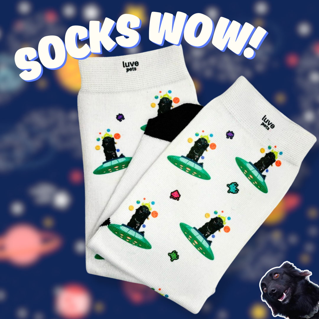 🧦 Socks WOW¡ 🐾