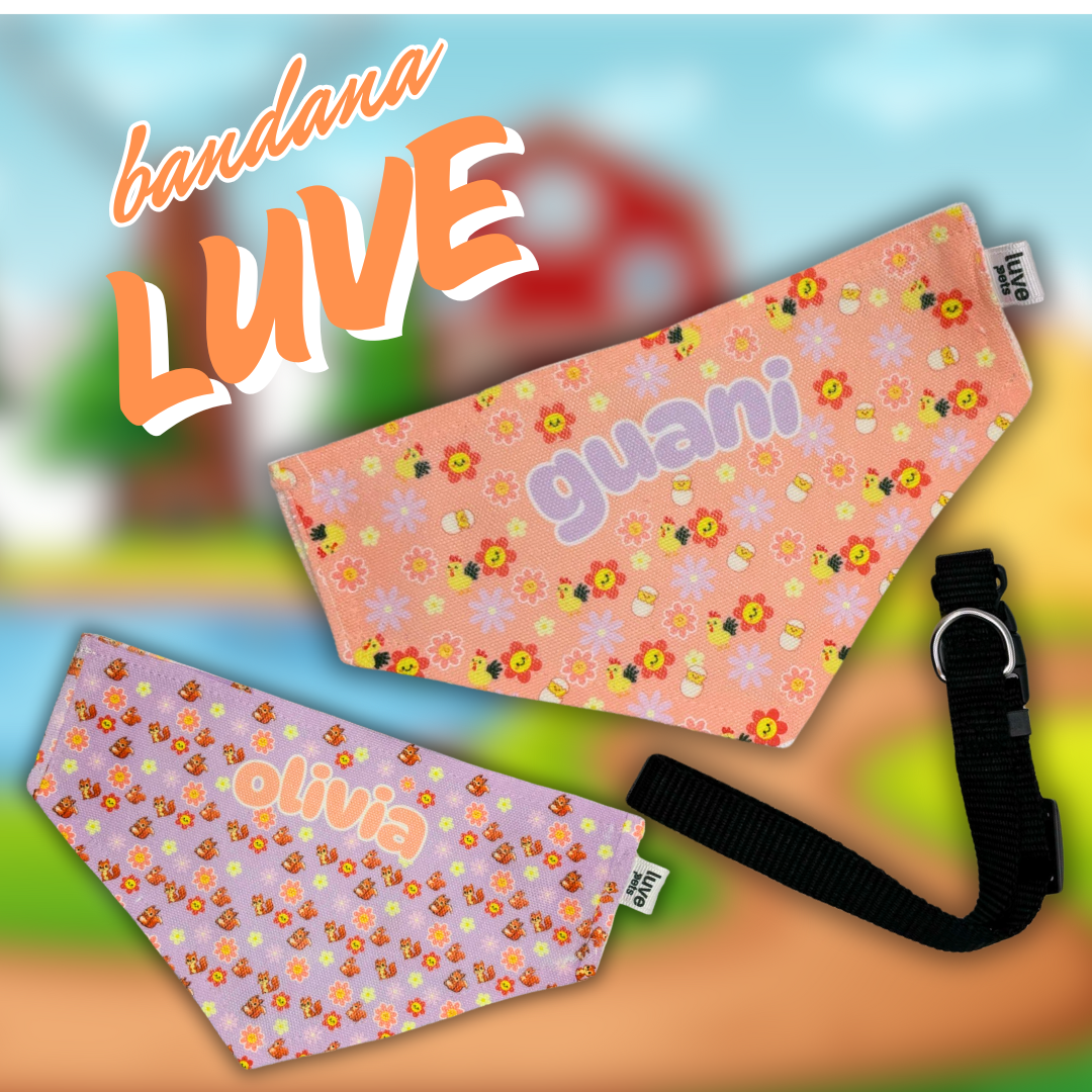 🤎Personalized Bandana Luve🐾