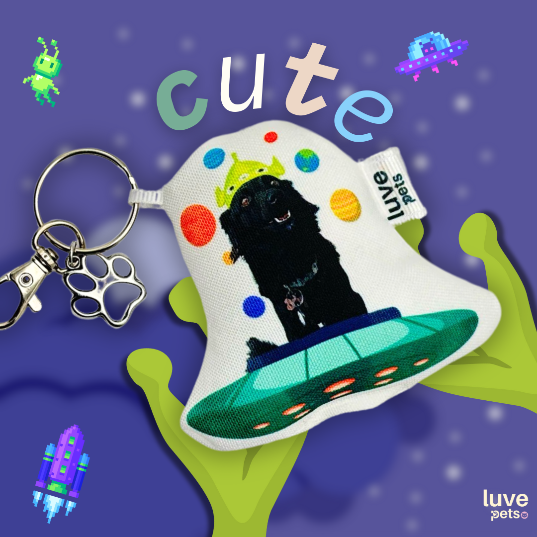 🔑Mini Personalized Keychain🐾