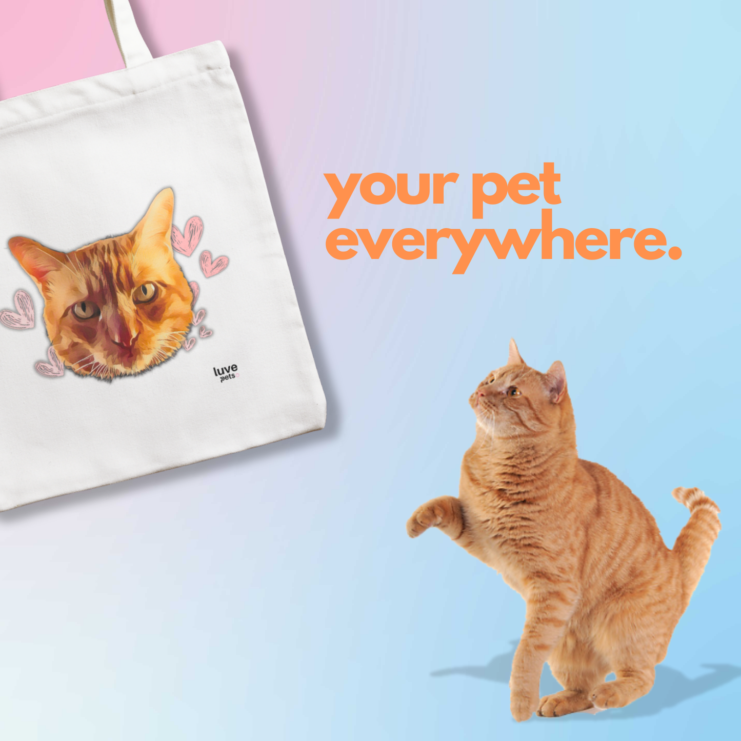 🐾 Bag Luve Pets¡ 👜