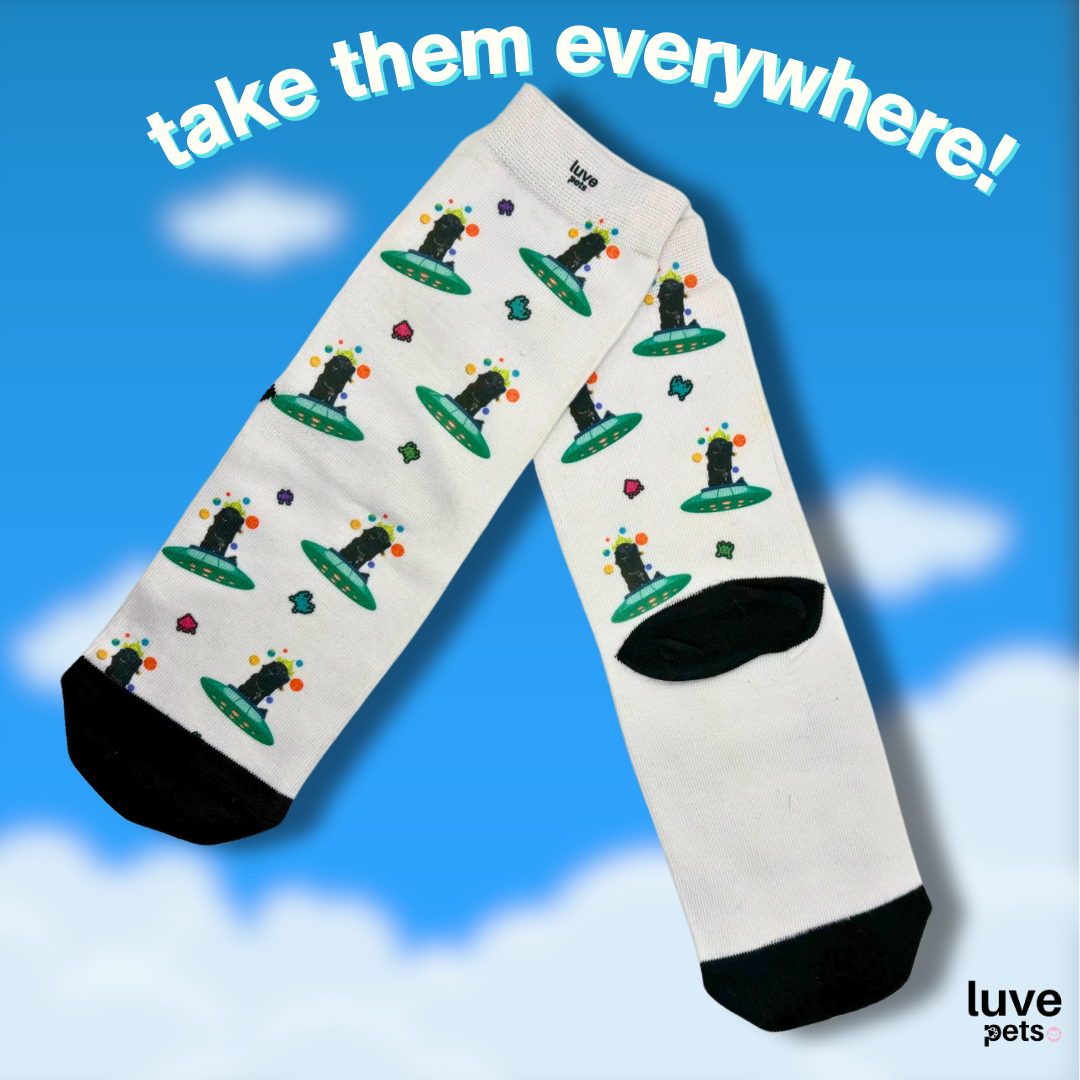 🧦 Socks WOW¡ 🐾